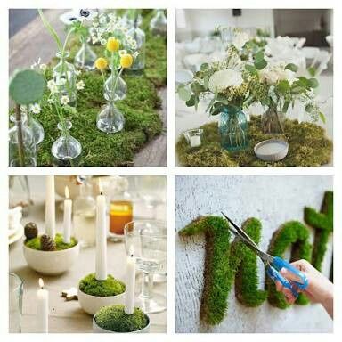 Musgo: Que se note el verde en la boda 💚 - 9