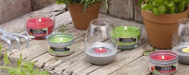  ¿boda al aire libre? 💚 y los mosquitos!!?? - 4