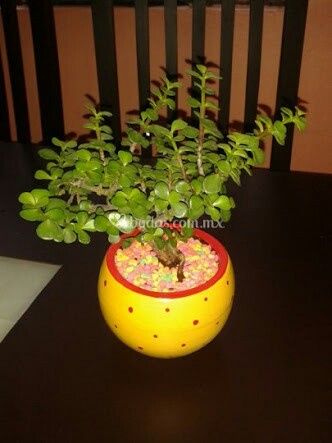  a compartir abundancia 💚de la verde. - 5