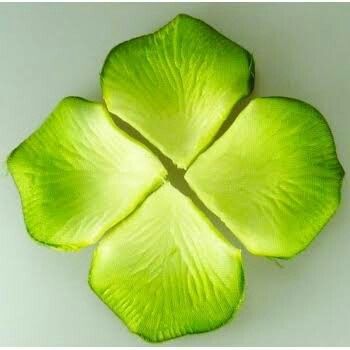  Para la salida de la iglesia 💚 - 4