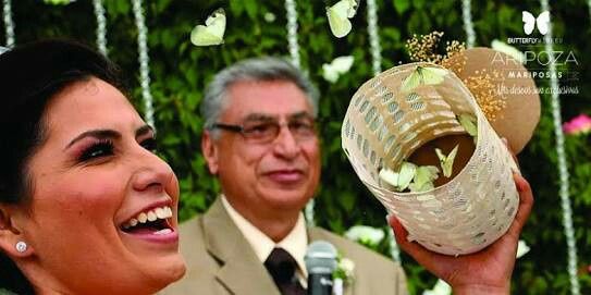  Mariposas verdes para la boda 💚 - 1