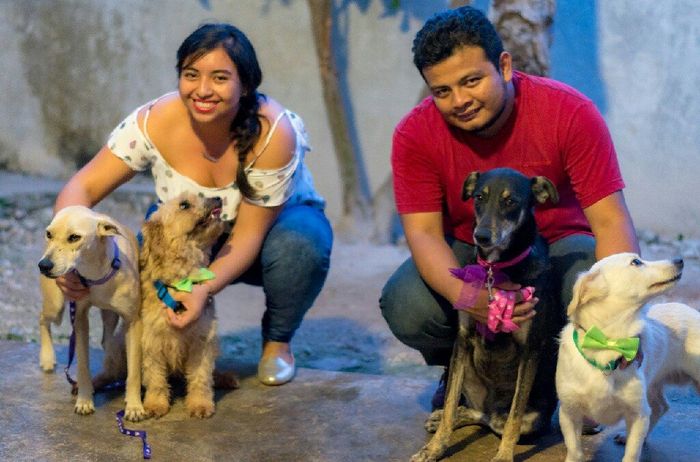 Nuestro bby, no podra acompañarnos a la boda 16