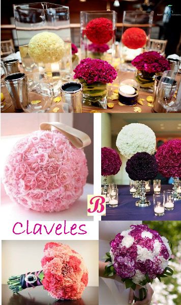 Pompones de claveles