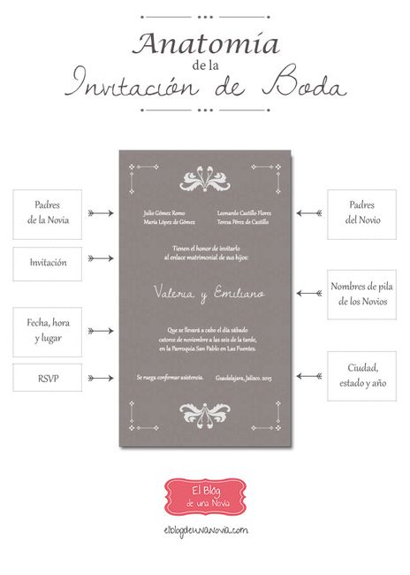 Anatomia