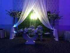  a resaltar la naturaleza en la mesa! 💚 - 7