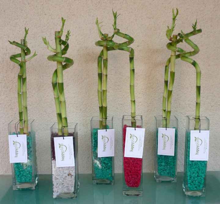  Un recuerdo con vida 💚 - 1