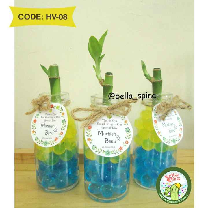  Un recuerdo con vida 💚 - 2