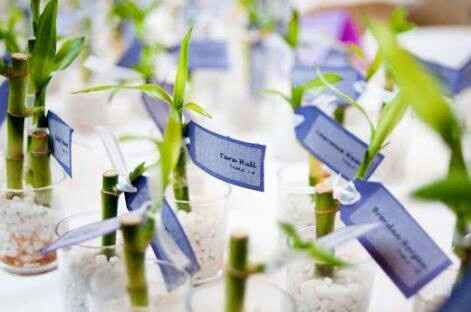  Un recuerdo con vida 💚 - 6