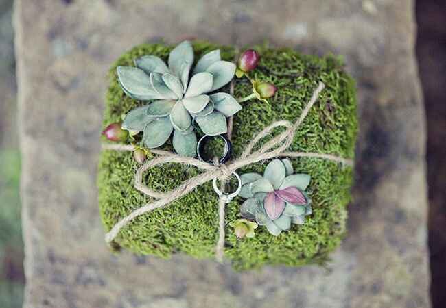  Musgo: Que se note el verde en la boda 💚 - 3