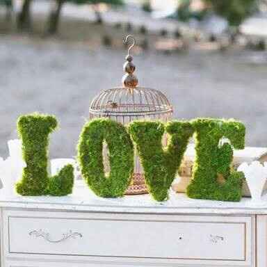  Musgo: Que se note el verde en la boda 💚 - 8
