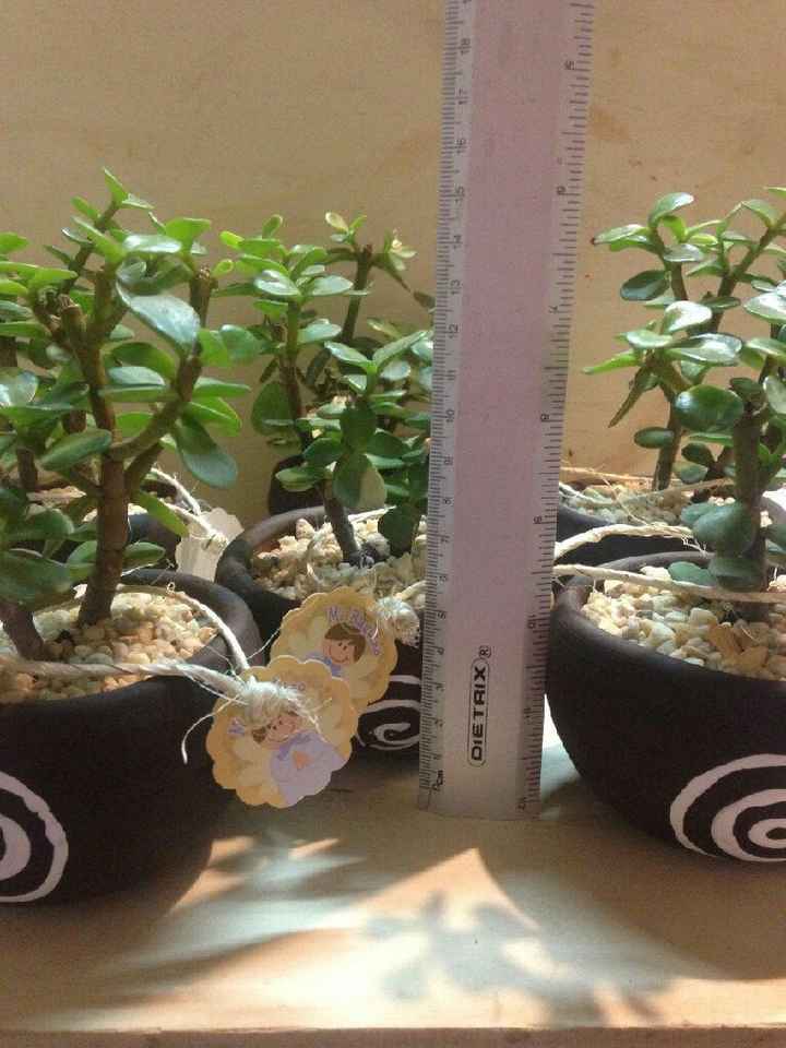  a compartir abundancia 💚de la verde. - 2