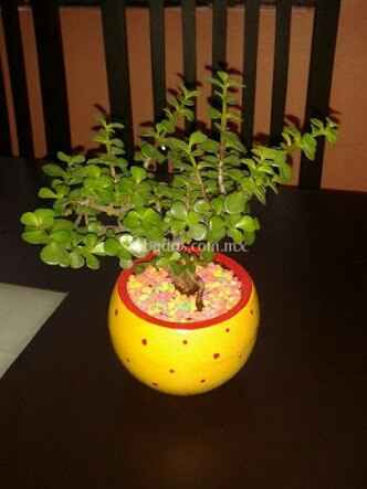  a compartir abundancia 💚de la verde. - 5