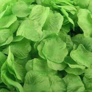  Para la salida de la iglesia 💚 - 3