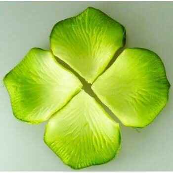  Para la salida de la iglesia 💚 - 4