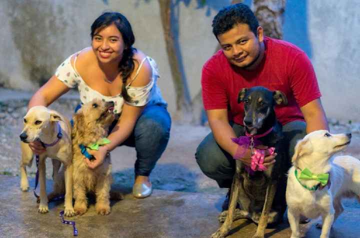 Les gustaria tener mascotas en su vida como casados - 1