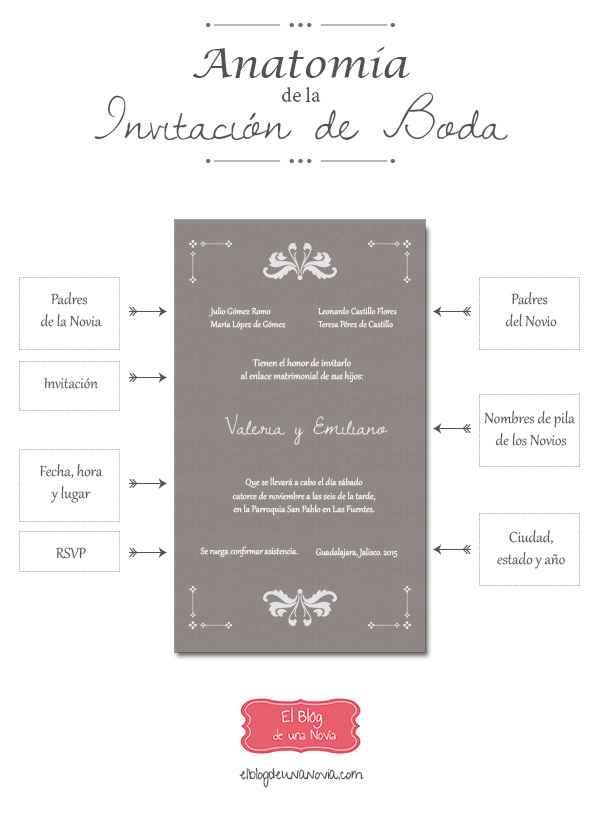 Anatomia