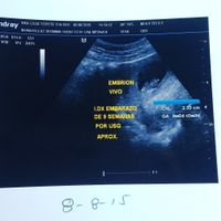 9 semannas