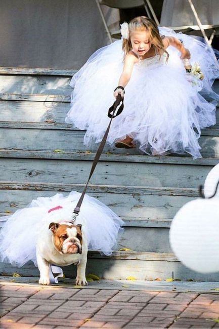 Ideas originales para pajes en la ceremonia ✨️💐💒 21