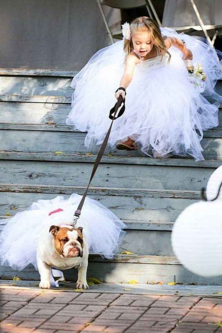 Ideas originales para pajes en la ceremonia ✨️💐💒 - 21