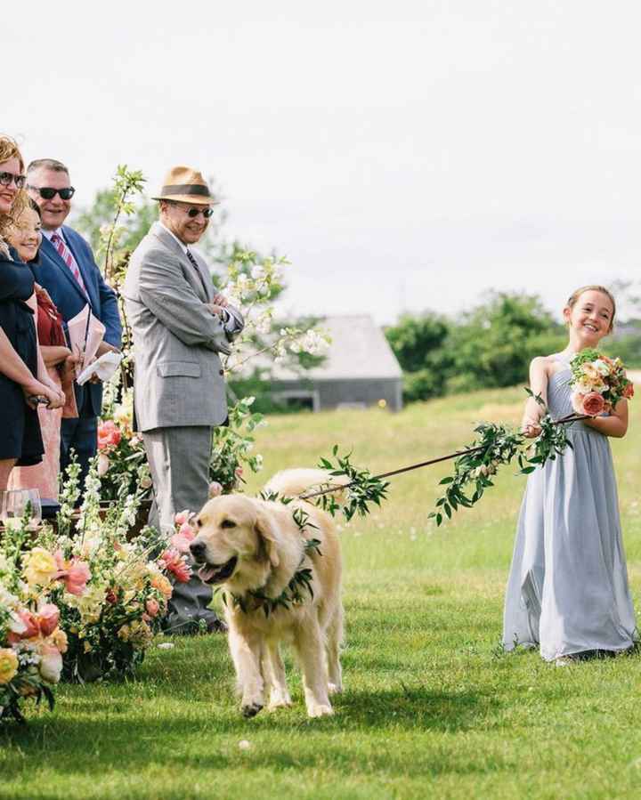 Ideas originales para pajes en la ceremonia ✨️💐💒 - 24