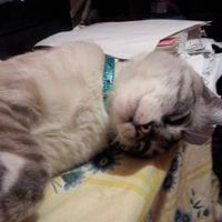 acompañandome en los preparativos mi gran amigo