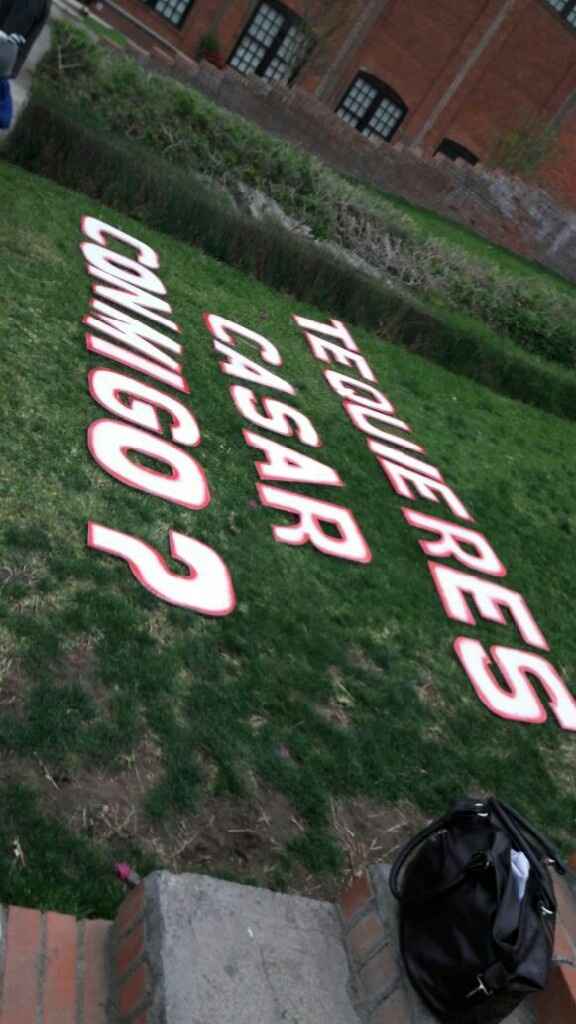 Anillo de compromiso listo... - 4