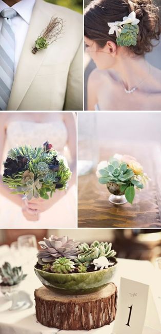 Suculentas en la boda