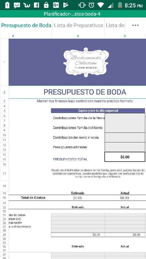 Organizador de gastos  y presupuestos (archivo) - 1