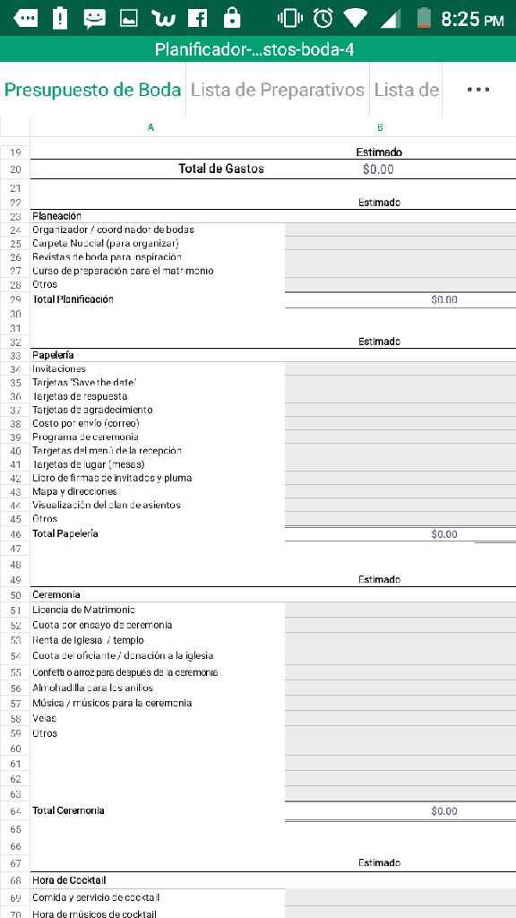 Organizador de gastos  y presupuestos (archivo) - 2