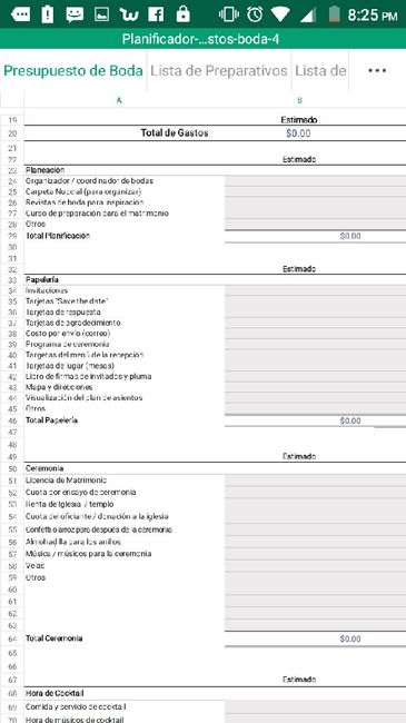 Organizador de gastos  y presupuestos (archivo) - 2