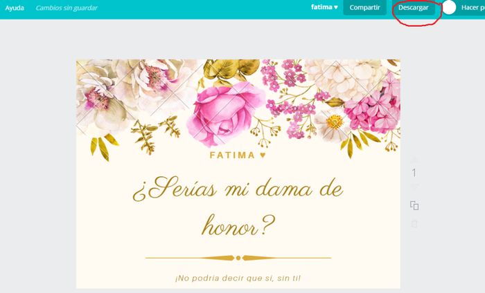 Paso 6