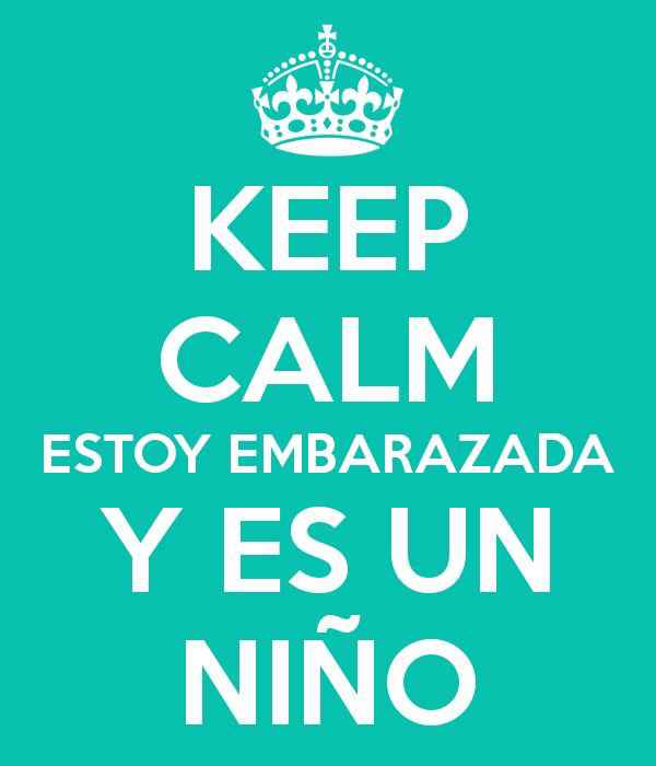  Estoy Felizmente Embarazada - 1