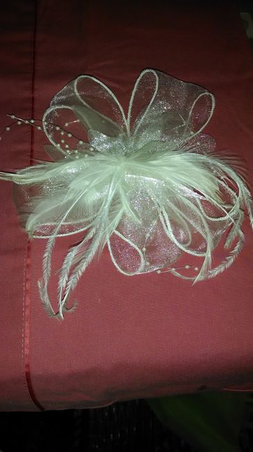 Avances a 104 días - 2