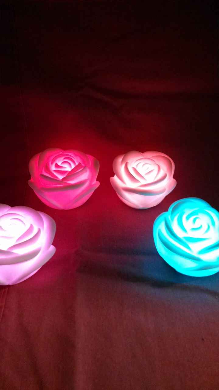 Avances a 104 días - 8