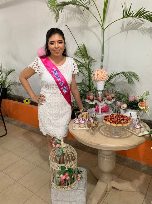 Mi despedida de soltera - 1