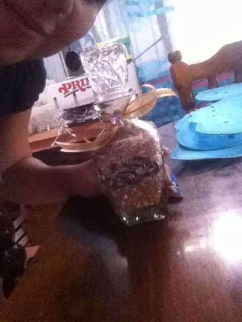 Avances a 125 dias - 4