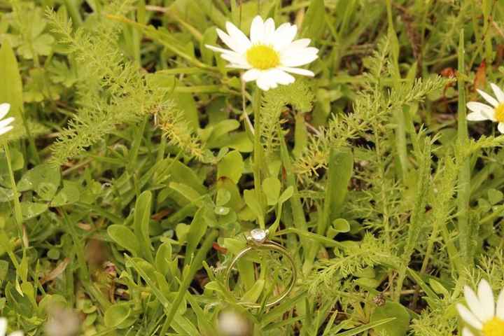 Chicas a presumir su anillo en la sesión!!! - 1