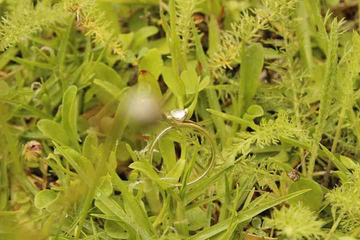 Chicas a presumir su anillo en la sesión!!! - 3
