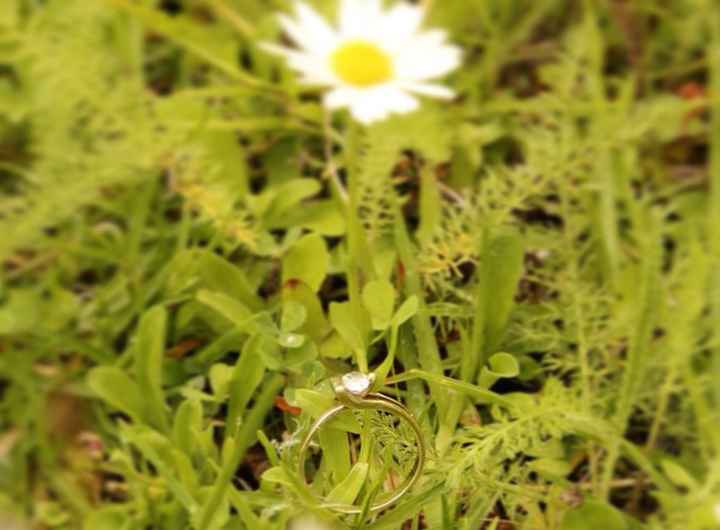 Brides a presumir su anillo de compromiso !! - 4