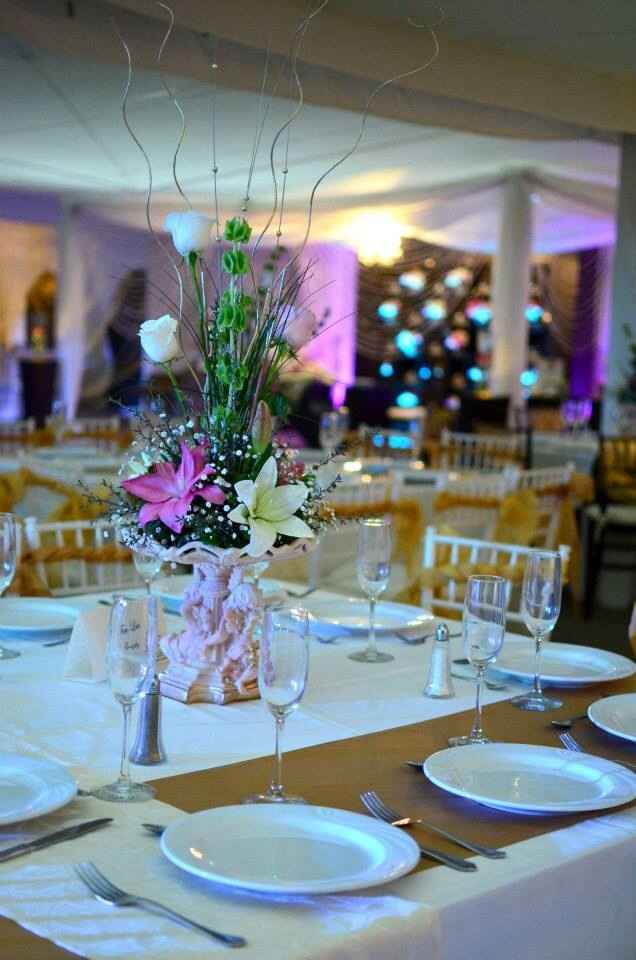 A 33 días , avances para mi día b - 2