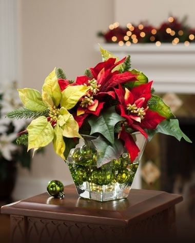 Quiero nochebuenas en mi boda - 5