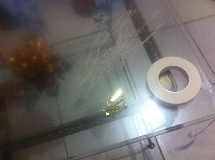 Avance a 343 días de mi boda parte 1 - 1