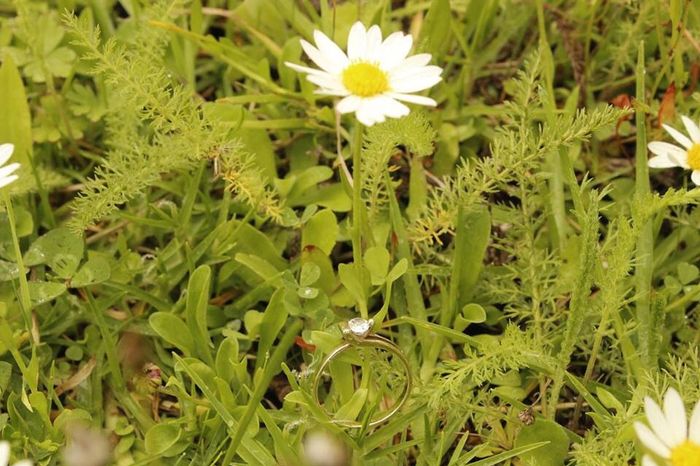 Chicas a presumir su anillo en la sesión!!! - 1