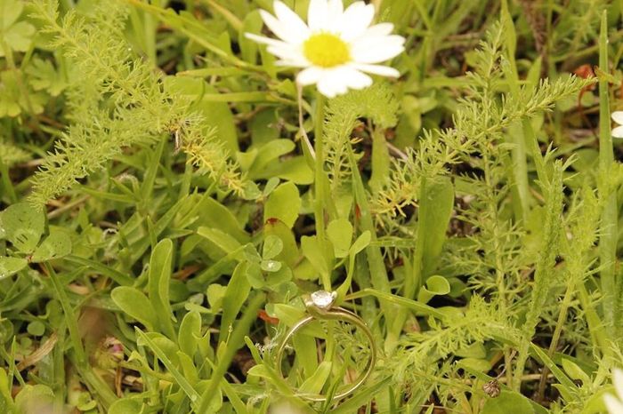 Chicas a presumir su anillo en la sesión!!! - 2