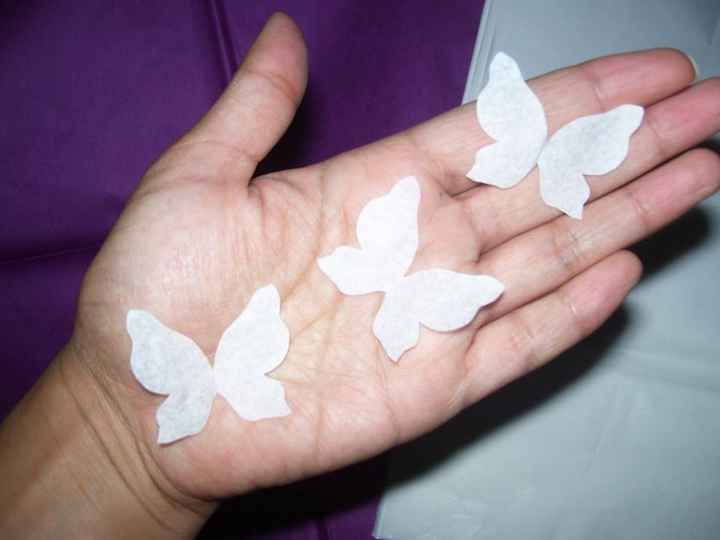 El confeti de mariposas