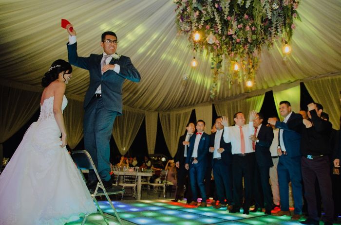 Iluminación de boda en jardín 6