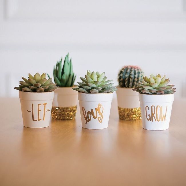 Suculentas para tus invitados 6