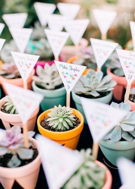 Suculentas para tus invitados 14