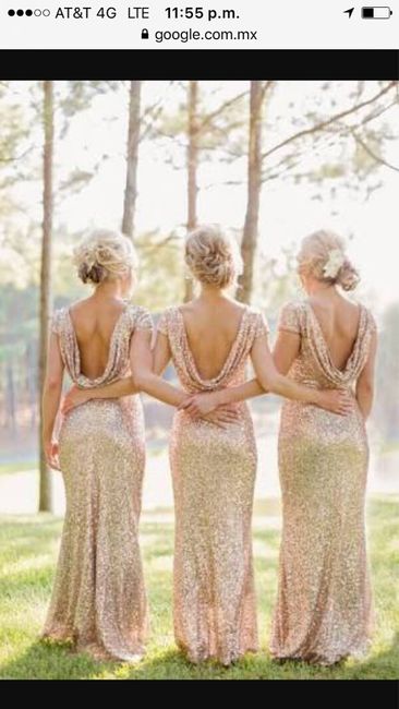 Ya tengo a mis hermosas damas y sus vestidos - 1