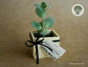 Recuerdo de boda - 4